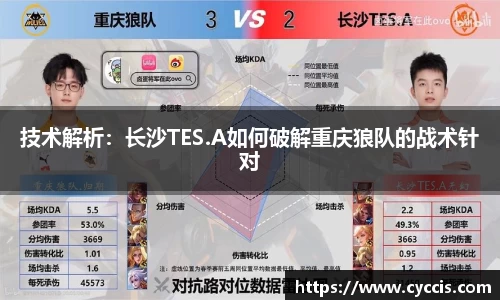 bsports登录入口