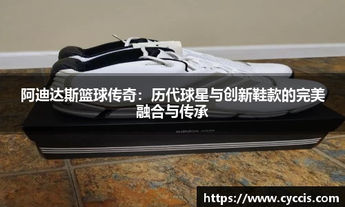 bsports登录入口