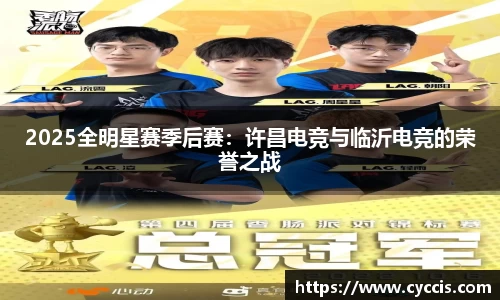 bsports登录入口